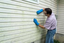 Affordable Siding Repair and Maintenance Services in Rexland Acres, CA